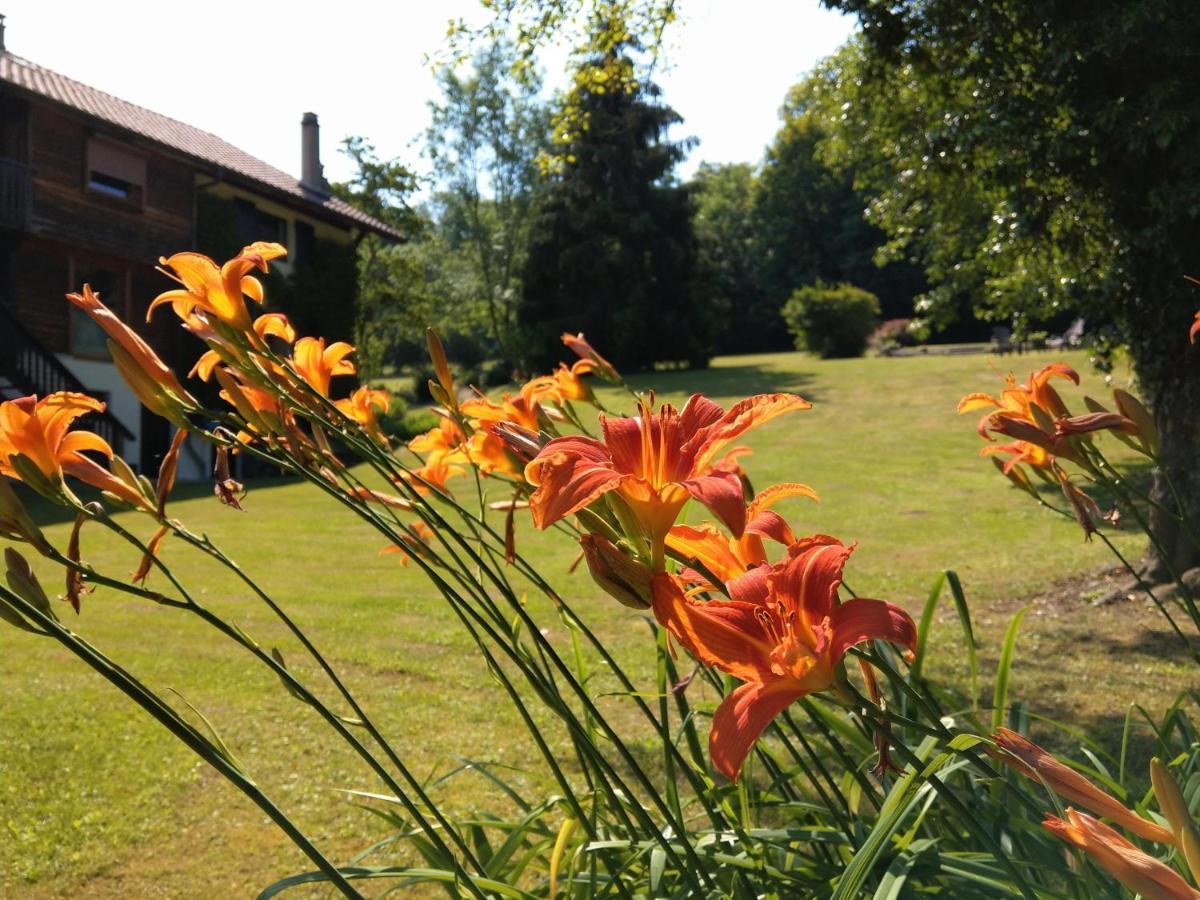 Domaine De L'Olifant Bed and Breakfast Champanges Exteriör bild