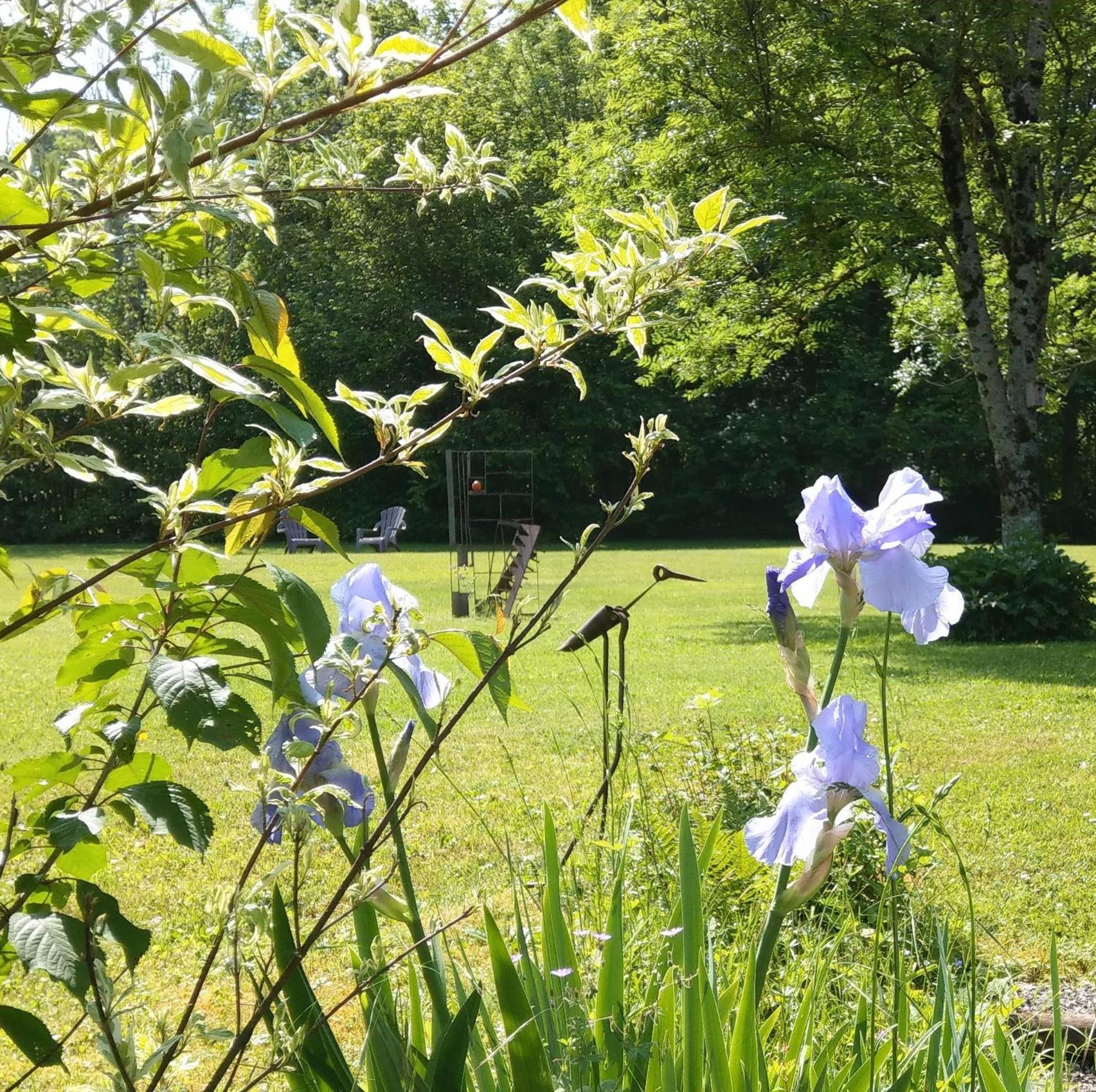 Domaine De L'Olifant Bed and Breakfast Champanges Exteriör bild
