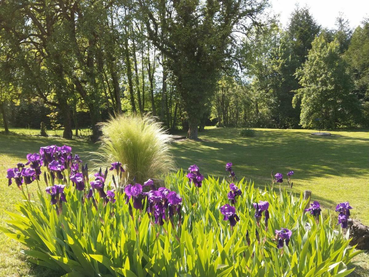Domaine De L'Olifant Bed and Breakfast Champanges Exteriör bild